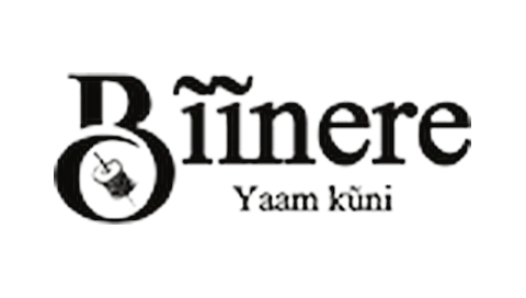 Bîinere